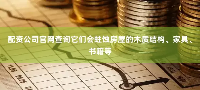 配资公司官网查询它们会蛀蚀房屋的木质结构、家具、书籍等